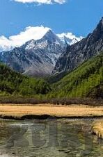 麻豆av在线传媒-解开公众误区，对麻豆av在线传媒的全面理解与审视
