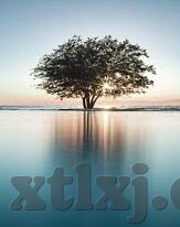 麻豆视频免费在线-洞见新时代影视体验 —— 麻豆视频的免费在线观看之旅