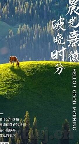 人妻肛门-家庭与隐私的边界，人妻肛门话题的微妙探讨