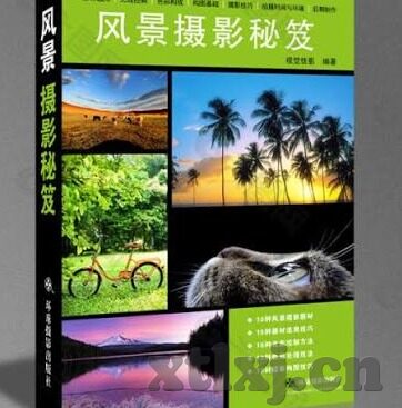 糖心app福引导网站大全-糖心APP，福引导网站的全面解析与警示