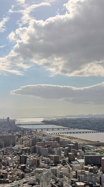 糖心app免登录下载-穿越数字壁垒，解锁糖心APP的奇妙之旅