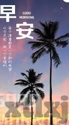 糖心vlog网页版入口-糖心vlog网页版，探索生活多彩视角的透明窗口