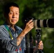 糖心vlog污染-探索糖心Vlog现象与网络污染的界面